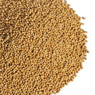 イエロー マスタード シード 1kg 原形 スパイス ハーブ 業務用 mustard 黄色 カラシナ からし 辛子 芥子