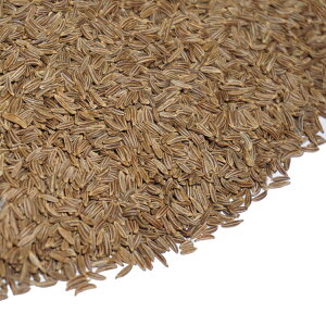 LEFC V[h 1kg ` A É Ɩp n[u eB[ |v  z[ caraway qECLE P䠍 炤 LEGC