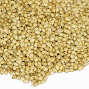 O[ RA_[V[h 500g A É Ɩp RA_[ n[ueB[ n[u coriander Vg _j  pN`[ RGh