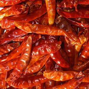 s hq A É OHTSUYA Y Ƃ炵 gEKV ` ybp[ chili pepper