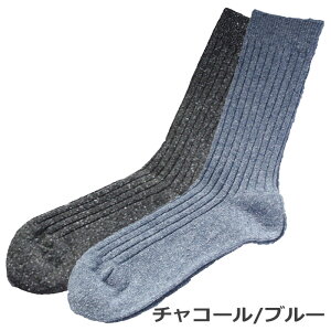 y2Zbgz WYlbv Y \bNX 25`27cm 25-27 25cm {     LxȃJ[ N[ u @JWA C rWlX hV̓ ̓ v