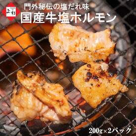 塩ホルモン ( テッチャン ) 国産牛 塩味 焼肉用 400g(200g×2) ※加熱必須 | 米沢牛入りハンバーグ付 てっちゃん 大腸 小腸 シマチョウ マルチョウ 丸腸 モツ もつ 牛ホルモン BBQ バーベキュー 鉄板焼き ホルモン焼き 牛肉 和牛 米沢牛 山形牛 お取り寄せ ギフト プレゼント