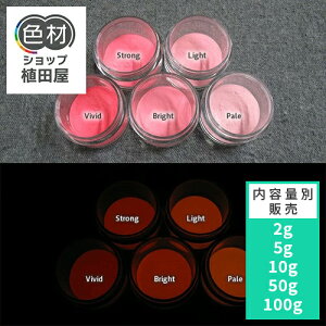 ~pE_[  yPxz2g~ Orangex[X 0010ybhEsNFEJ[z ~痿 IW  pE_[  痿 Px  Ɩp ƒp DIY XC  ANZT