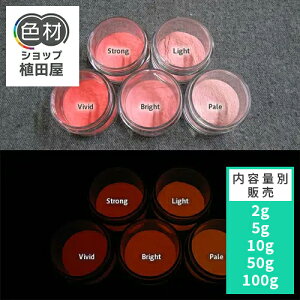 ~pE_[  yPxz2g~ Orangex[X 0015ybhEsNFEJ[z ~痿 IW  pE_[  痿 Px  Ɩp ƒp DIY XC  ANZT