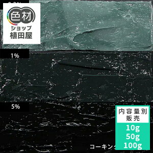 F痿 10g` t ubN(Black)yR[LOFpόJ[/ResinColorz F痿 t WFp Lbh F J[ F򂹏Ȃ ϋv aȂ ȒP Ɩp ƒ