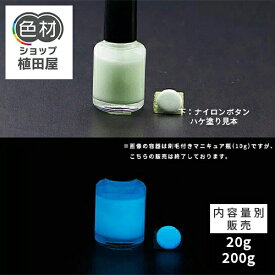 蓄光塗料 20g〜 B_Blue 306【ブルー発光・ 蓄光塗料(夜光塗料)】