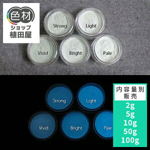 ~pE_[  yPxz2g~ Bluex[X 0225yO[FEJ[z ~痿 u[  pE_[  痿 Px  Ɩp ƒp DIY XC  ANZT[ nh