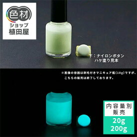 蓄光塗料 20g〜 PB025【ブルーグリーン発光・ 蓄光塗料(夜光塗料)】沈殿しにくい 夜光 発光 業務用 家庭用 DIY スライム おもちゃ アクセサリー ハンドメイド 光る ホビー クラフト安全 アクリル ウレタン ラッカー インク