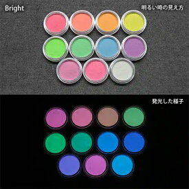 蓄光パウダー 粉末 11色セット 各色2g カラーセット【Blue発光ベース基本色11色】
