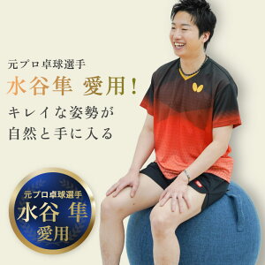 y{uhzuFit Balance Ball oX{[ 55cm 65cm Jo[t u[ O[ uE A`o[Xg ω׏d300kg t@ubN   C 180ۏ vAX[g