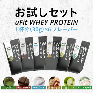 �y���{���������zuFit Whey Protein �z�G�C�v���e�C�� �������Z�b�g 6�� � WPC �l�H�Ö����s�g�p �`���R ���� �������ȕ� ���[�O���g �A�b�v�� �Â��T���� �n���₷�� �������� ���_�� �A���`