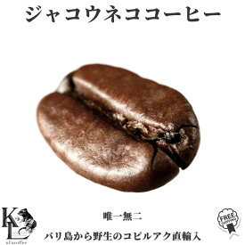 高級コーヒー豆 ジャコウネココーヒー 100g コピルアック 50g コーヒー豆 中挽き ドリップバッグ シベットコーヒー 粗挽き コーヒー 豆のまま 珈琲豆 自家焙煎コーヒー ドリップコーヒー アイスコーヒー豆 珈琲 浅煎り 浅煎 高級 野生