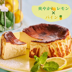 ss ӂ邳Ɣ[ No.1tu₩   pC  oXN`[YP[L b Z oXN `[YP[L P[L  i LX Ⓚ a  킢  IV 