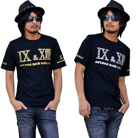 Tシャツ メンズ 　半袖Tシャツ　ティーシャツ　フロントゼブラIX&XIIロゴプリント 半袖Tシャツ メンズ　カジュアル　きれいめ　キレイメ　ロック　M　L　XL　ゴールド　シルバー メール便対応