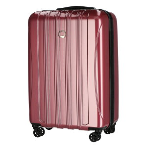 24ԌI|Cgő10{DELSEY fZ[ X[cP[X L[P[X HELIUM AERO 00007682009 PEONY YEfB[X