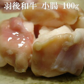 羽後和牛　小腸（コプチャン）　100g