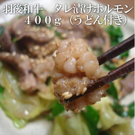 羽後和牛　タレ漬けホルモン　400g（うどん付き）