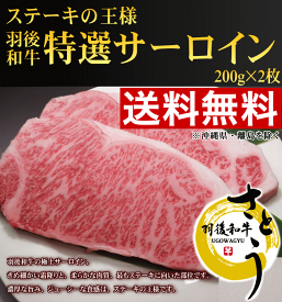 《送料無料！お中元セール》秋田県産　羽後和牛 特選サーロイン　400g