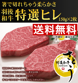 《送料無料！お中元セール》秋田県産　羽後和牛　特選ヒレステーキ　300g