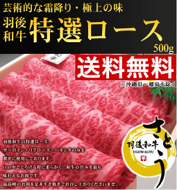 《送料無料！お中元セール》秋田県産　羽後和牛　特選ロース　500g