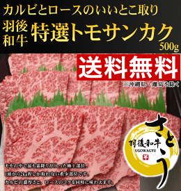 《送料無料！お中元セール》秋田県産　羽後和牛　特選トモサンカク焼肉用　500g