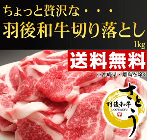 sIΕZ[tHcY@Ha@؂藎Ƃ@1kg