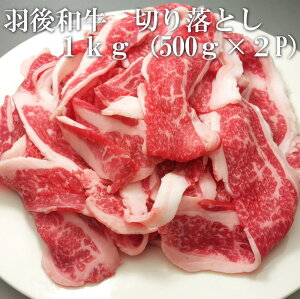 Ha@؂藎Ƃ@1kgi500g×2P@j