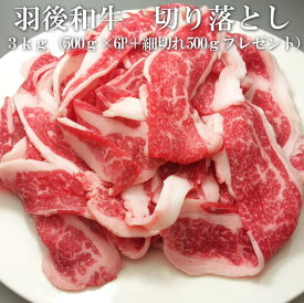 【プレゼント付き】羽後和牛　切り落とし 3kg（500g×6パック+細切れ500gプレゼント）