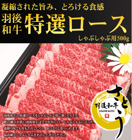 羽後和牛　特選ロースしゃぶしゃぶ用　500g