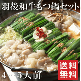 【送料無料！お中元セール】【賞味期限間近の為：P10倍&10％OFF！】羽後和牛 もつ鍋セット　4～5人前　 ミックスホルモン お取り寄せ モツ鍋 ギフト プレゼント 贈り物 誕生日 お祝い 内祝い 2025　夏 冬