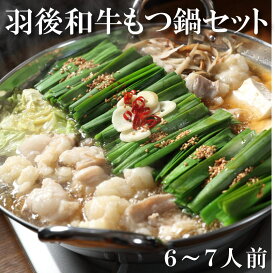 【賞味期限間近の為：P10倍&10％OFF！】羽後和牛 もつ鍋セット　6〜7人前