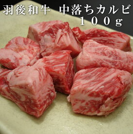 羽後和牛中落ちカルビ焼肉用　100g