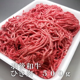 羽後和牛　ひき肉　500g　(端っこ はしっこ 端 切り落とし 不ぞろい)