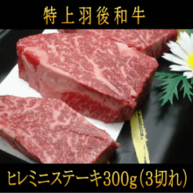 羽後和牛　ヒレミニステーキ　300g