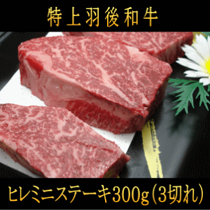 Ha@q~jXe[L@300g