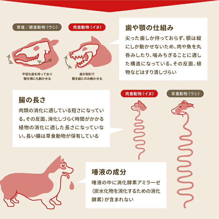 楽天市場】アカナ acana クラシック ワイルドコースト (魚肉) レシピ 