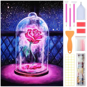 SUPECENT _ChA[g Lbg _CAhr[YGLbg DIYEG|Lbg 5D UCNA[g _Chh Sʓ\t^Cv 30x40cm(17)