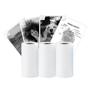 BORN4SHIP 3  53mm[SMA53mmx3m (2.09 hx118.11h) ~j v^[ XebJ[pA׋m[gAʐ^AW[iAmpMAzCg