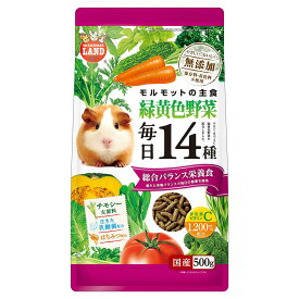 ミニマルランド モルモットの主食 毎日14種 緑黄色野菜 500g 小動物