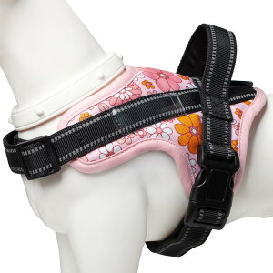 yVoꌢn[lX擾zBaoCheng p ^/^/^n[lX AɗD l[v[g|Pbg  EȒP \ 7FI \(sNt[,XL)