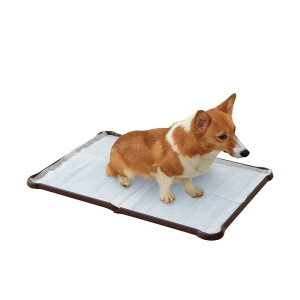 ACXI[}  gC V[c҂ƃg[ _uCh uE P-SPTD