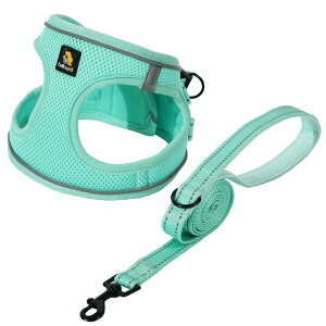 BELLA  PAL p n[lX Collar  ^ ^ ^ Pp  ́[˂ ϋv ʋC V s⏕p p ߉\ ˍ h~ EȒP ˍ S^ O[