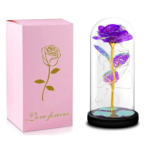 FairyHouse͂Ȃ o LEDCg dr 24KS[h[Y KN ԑ t[Cg t[Mtg o^Cf[ ̓ a LO N X}X j v[g  