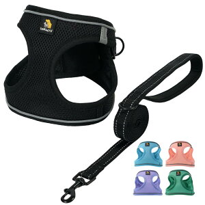 BELLA  PAL p n[lX Collar  ^ ^ ^ Pp  ́[˂ ϋv ʋC V s⏕p p ߉\ ˍ h~ EȒP ˍ S^ ub