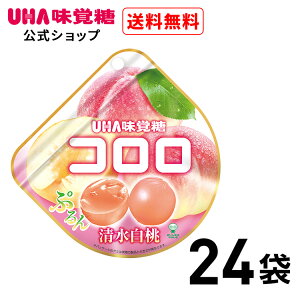 yz܂Ƃߔ UHAo R  24܃Zbg 
