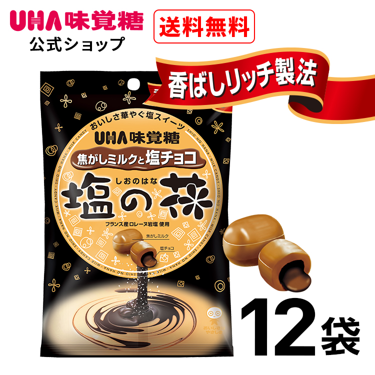 UHA味覚糖 塩の花 焦がしミルクと塩チョコ 12袋