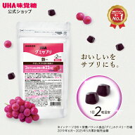 【公式】UHA味覚糖 (ユーハ味覚糖) グミサプリ 鉄 グレープ味 (1袋60粒 / 30日分) 通販限定 (鉄分補給/コ…