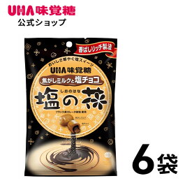 【公式】まとめ買い UHA味覚糖 塩の花 6袋セット