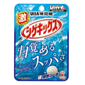 【公式】UHA味覚糖 激シゲキックス 極刺激ソーダ 10袋