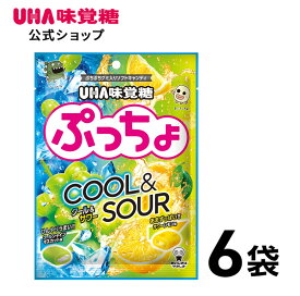 【公式】UHA味覚糖 ぷっちょ袋　クール＆サワー　COOL&SOUR 6袋セット　サワーレモン味＆クールシャインマスカット味